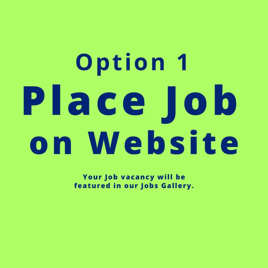 Website Job post (Option 1)