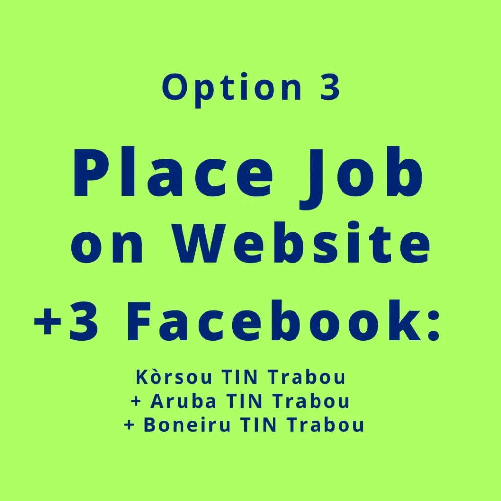 Website Job post & 3 Social Pages (Option 3)