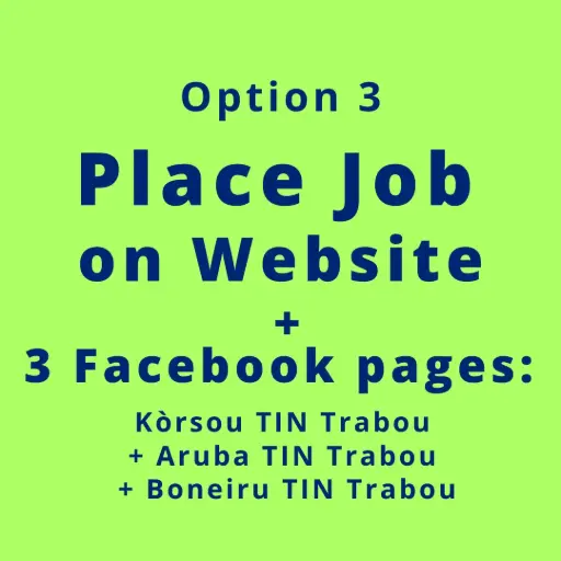 Website Job post & 3 Social Pages (Option 3)
