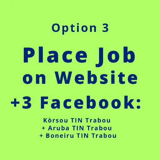 Website Job post & 3 Social Pages (Option 3)